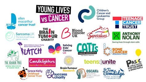 top cancer charities to donate to|9 Top Cancer Charities Leading the Charge Today.